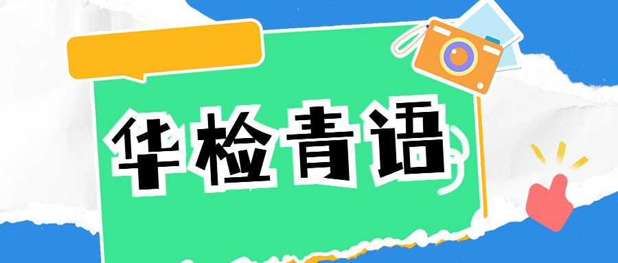 华检青语丨数据海洋里的“大管家”