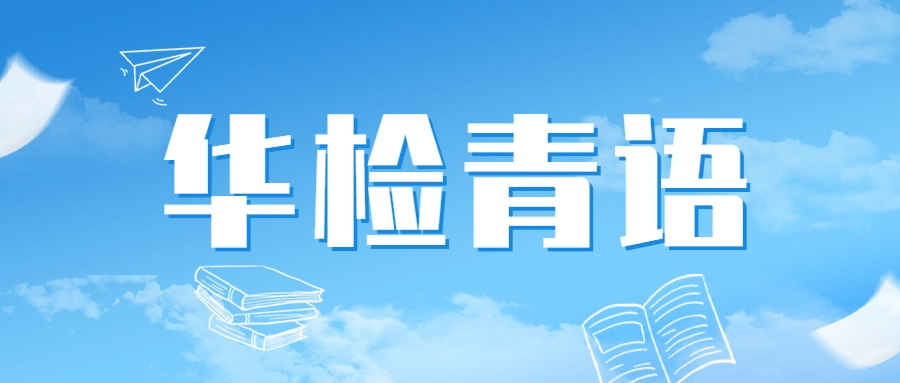 华检青语丨在秩序的褶皱里守护法治