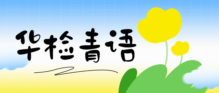 华检青语丨在法治的经纬间穿行